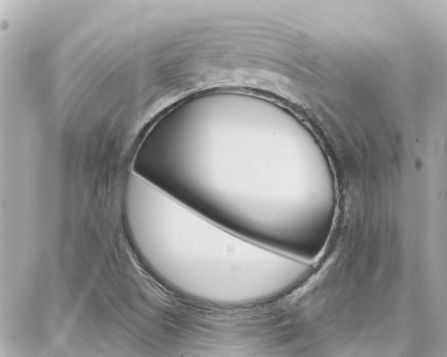 X0000088451505200705220857