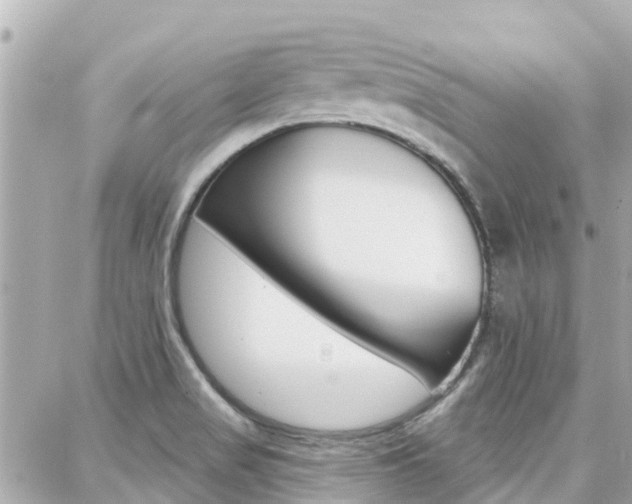 X0000088451517200705220857