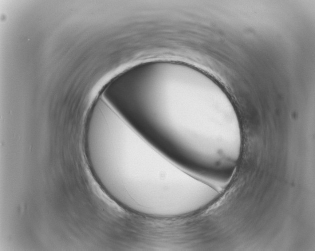 X0000088451518200705220857