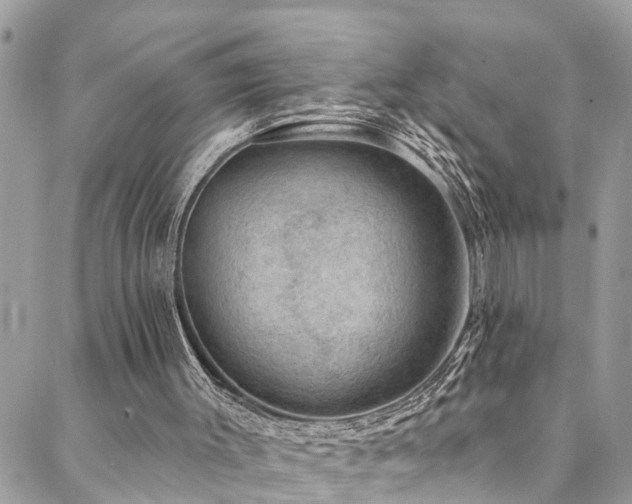 X0000088450003200705221349