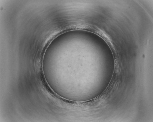 X0000088450012200705221349