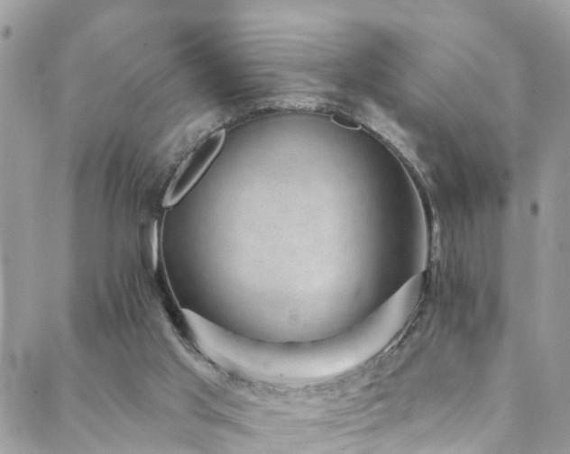 X0000088450013200705221349
