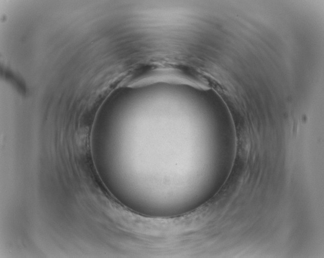 X0000088450034200705221348