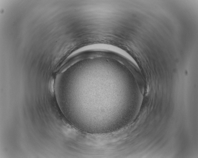 X0000088450041200705221348