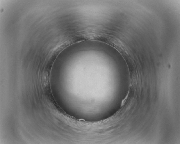 X0000088450043200705221348