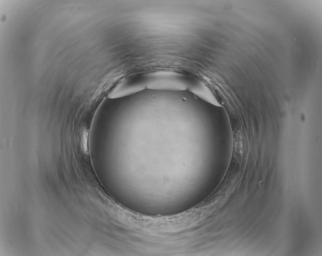 X0000088450046200705221348