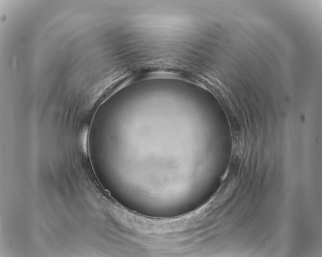 X0000088450047200705221348