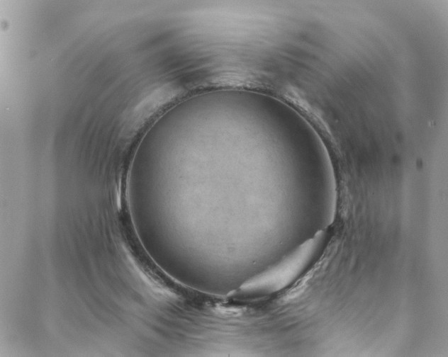 X0000088450062200705221348