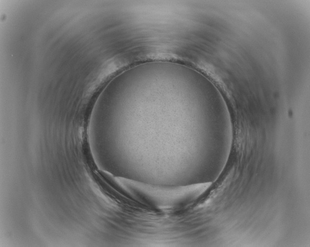X0000088450063200705221348