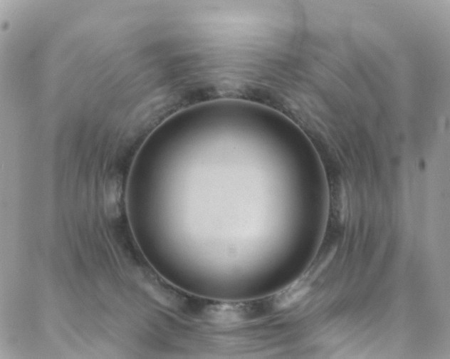 X0000088450082200705221348