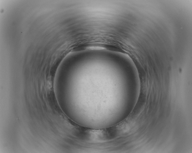 X0000088450085200705221348