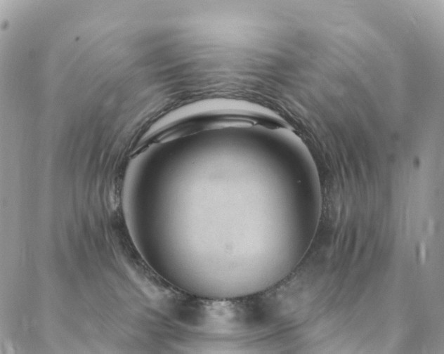X0000088450091200705221348