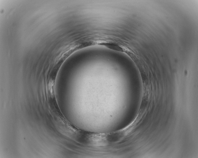 X0000088450094200705221348