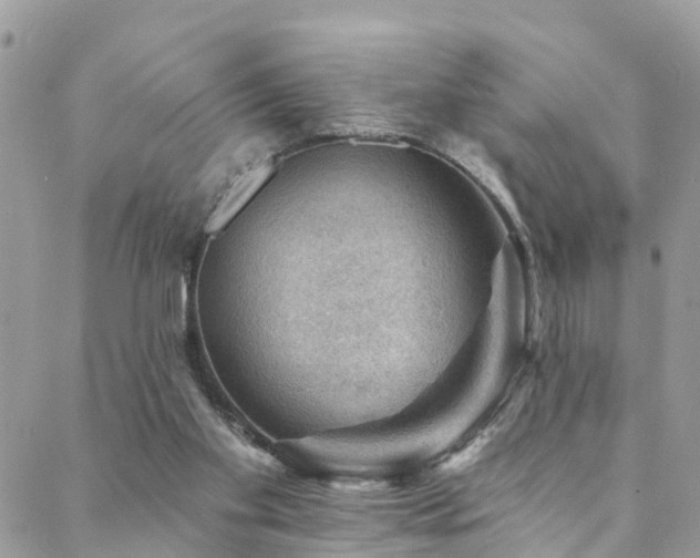 X0000088450109200705221347