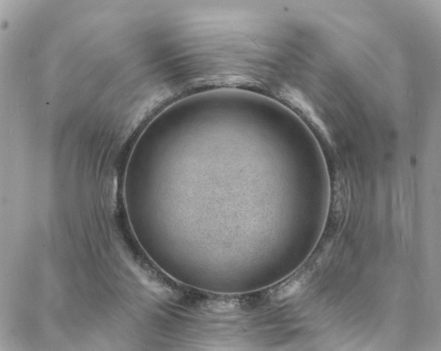 X0000088450110200705221347