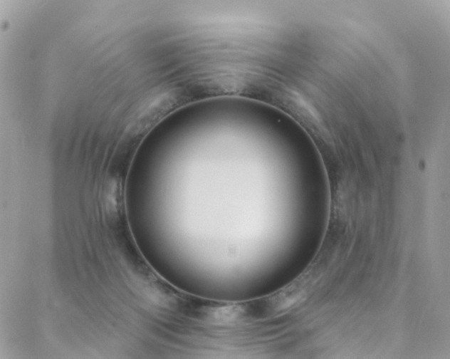 X0000088450122200705221347