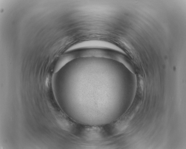 X0000088450125200705221347
