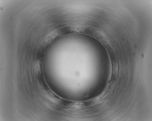 X0000088450128200705221347