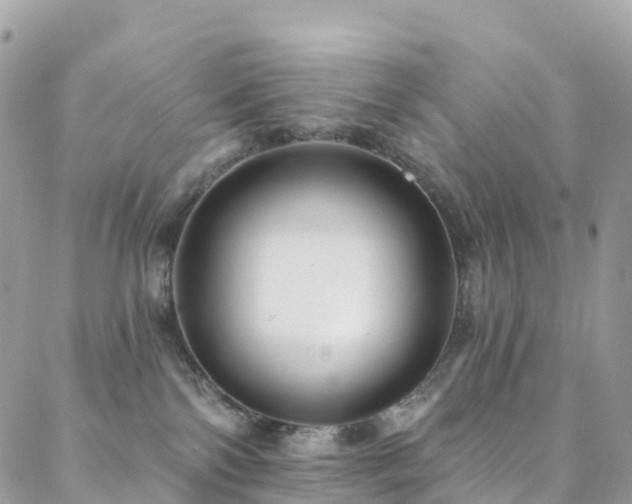 X0000088450138200705221347