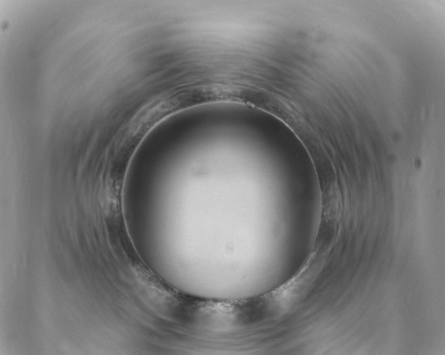 X0000088450140200705221347