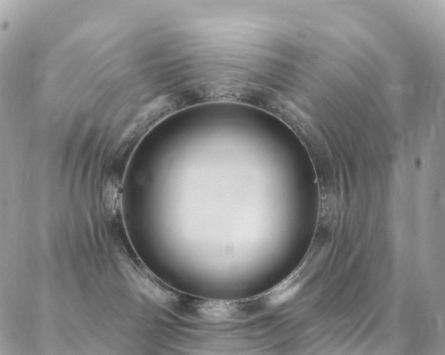 X0000088450142200705221347