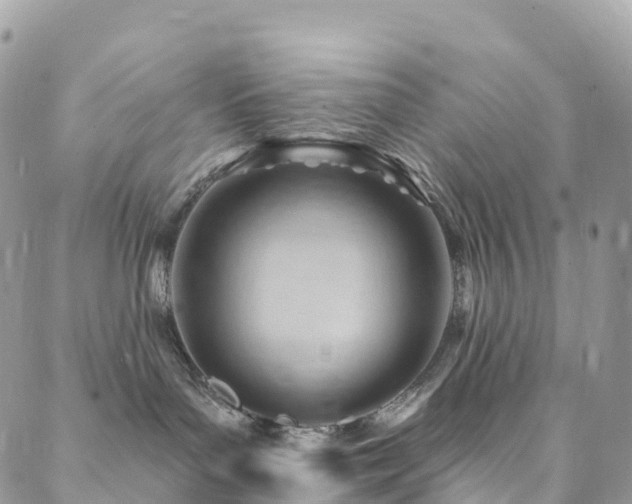 X0000088450143200705221347