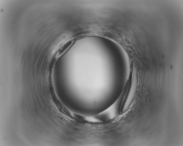 X0000088450150200705221346