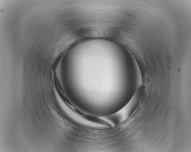 X0000088450164200705221346
