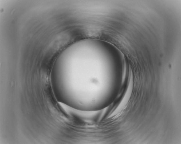 X0000088450176200705221346