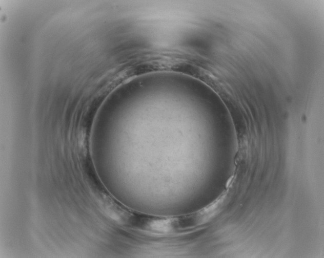 X0000088450178200705221346
