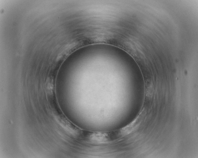X0000088450179200705221346