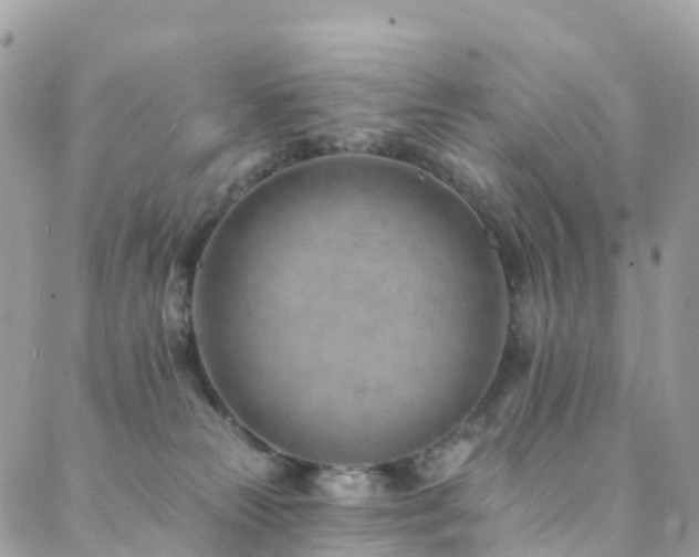 X0000088450181200705221346