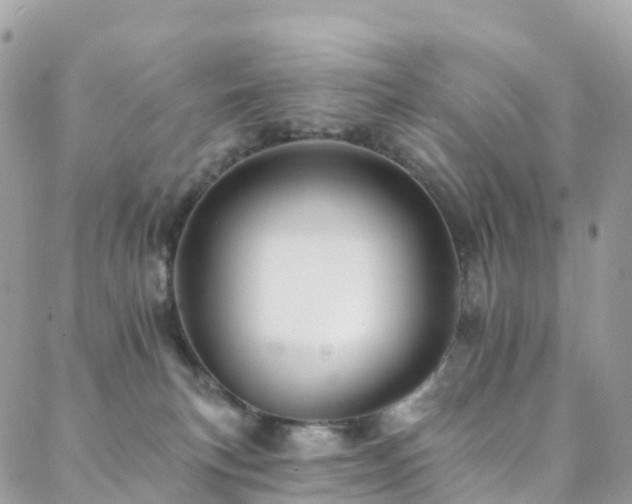 X0000088450183200705221346