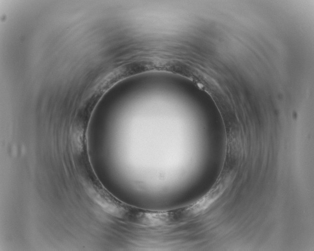 X0000088450188200705221346