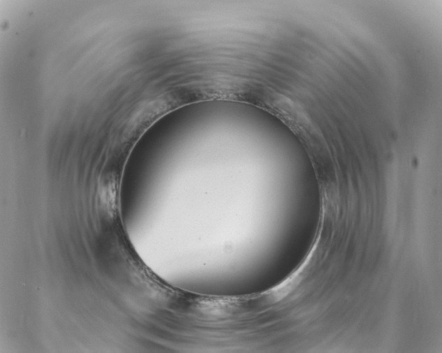 X0000088450190200705221346