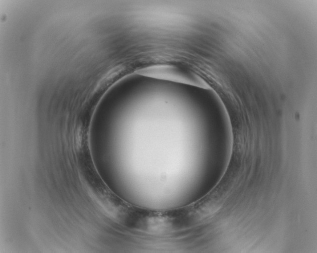 X0000088450216200705221345