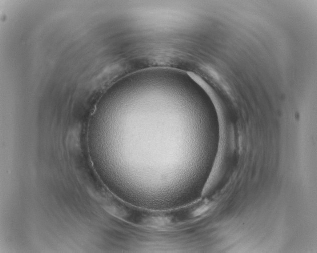 X0000088450217200705221345
