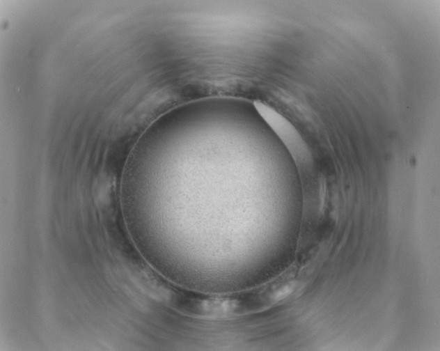 X0000088450225200705221345