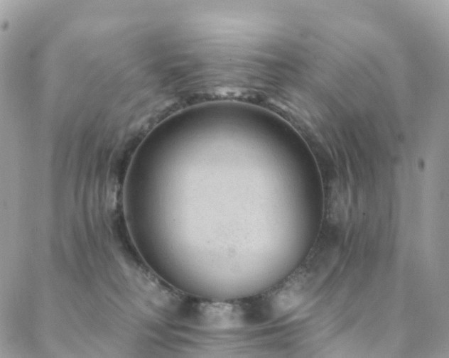 X0000088450230200705221345