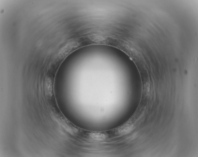 X0000088450234200705221345