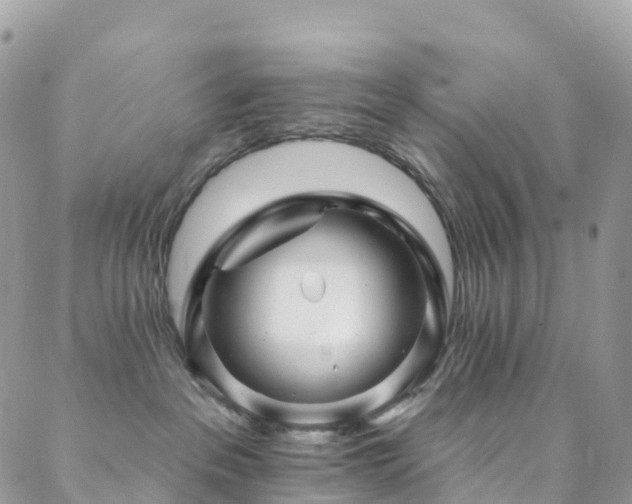 X0000088450237200705221345