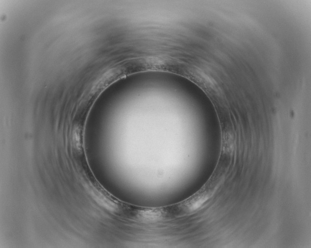 X0000088450238200705221345