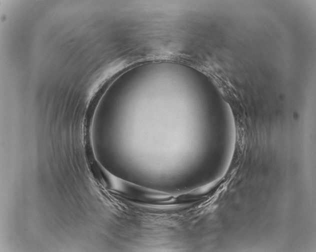X0000088450244200705221344