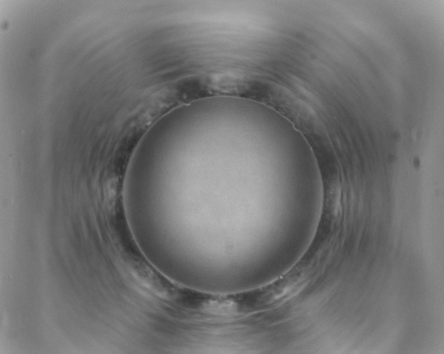 X0000088450271200705221345