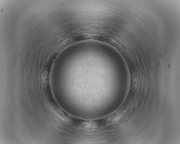 X0000088450275200705221345