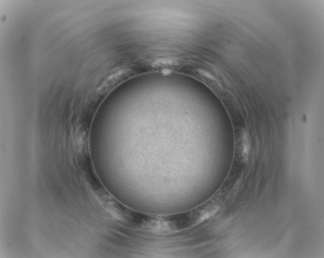 X0000088450276200705221345