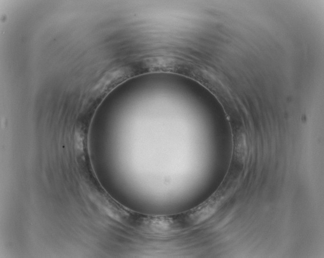 X0000088450282200705221345