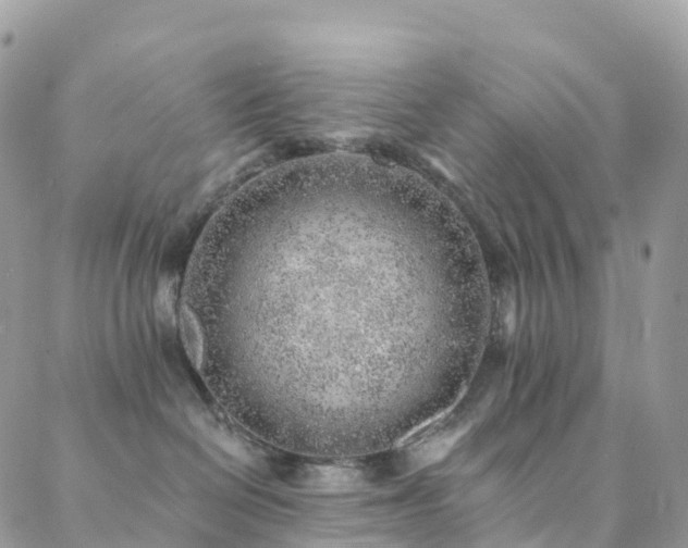 X0000088450286200705221345