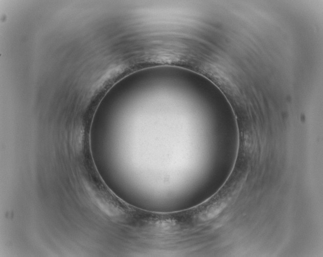 X0000088450304200705221344