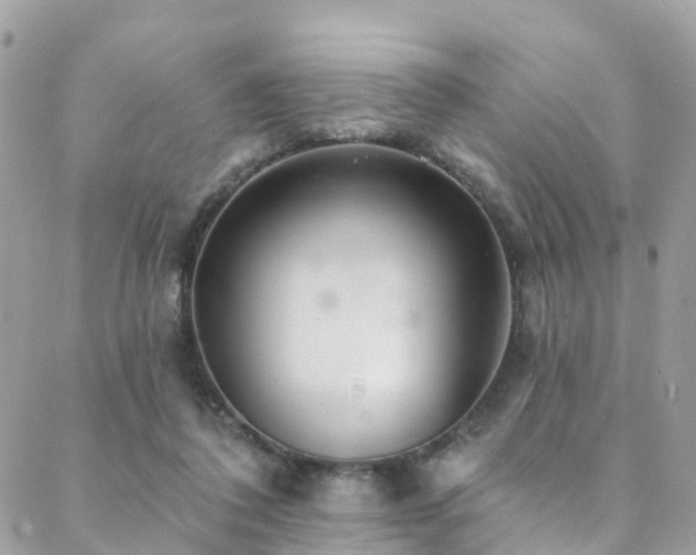X0000088450308200705221344